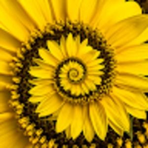 Meet your Posher, Meghan